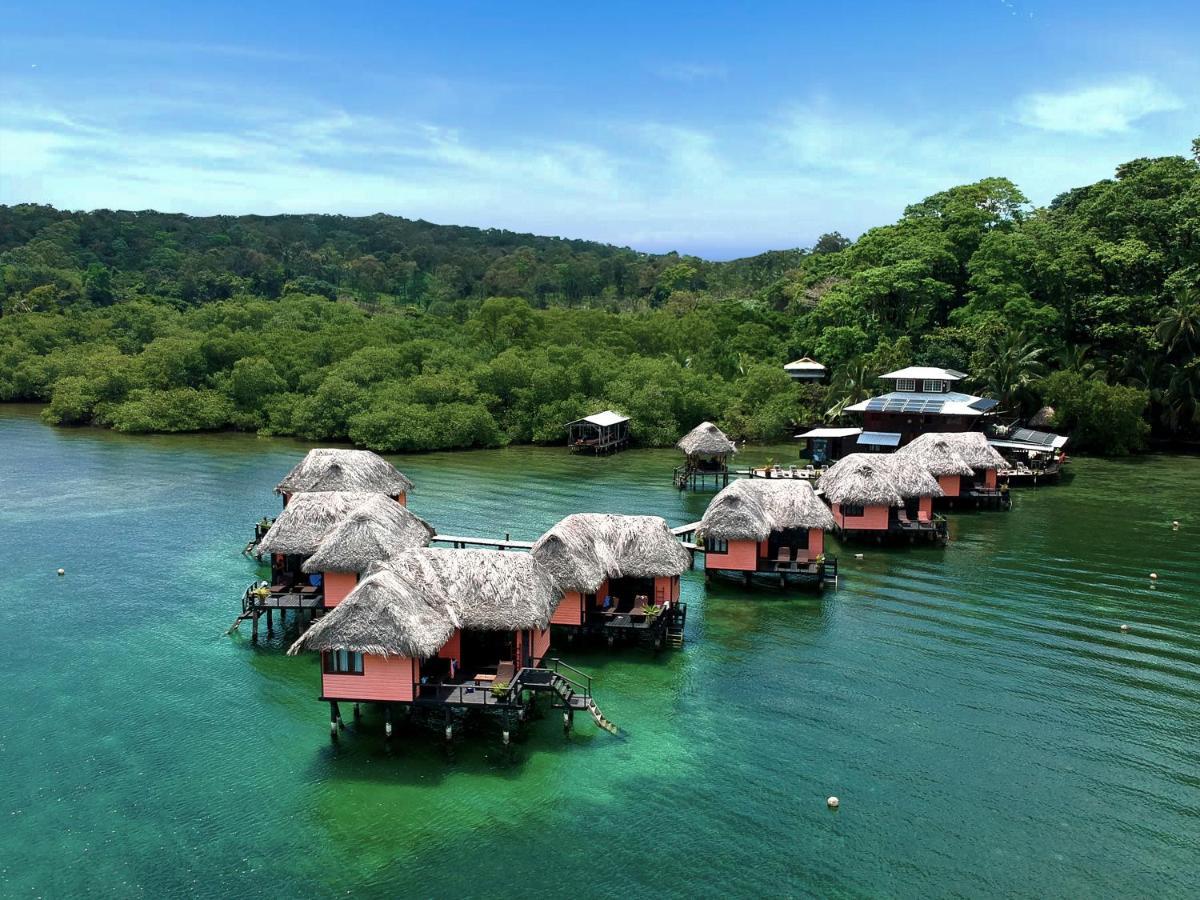 Eclypse De Mar Acqua Lodge Bastimentos Exteriör bild